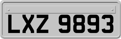 LXZ9893