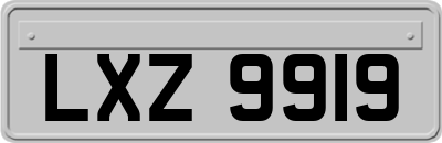 LXZ9919