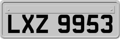 LXZ9953