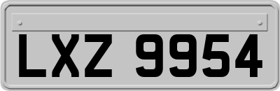 LXZ9954