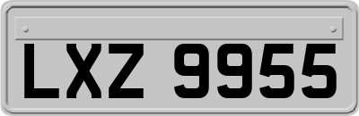 LXZ9955
