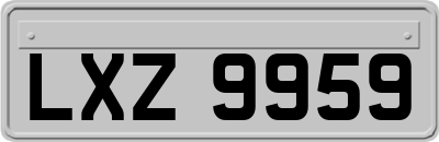 LXZ9959