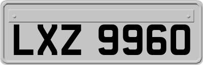 LXZ9960
