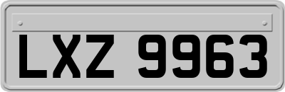 LXZ9963
