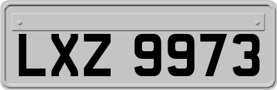 LXZ9973