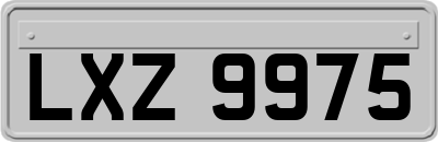 LXZ9975