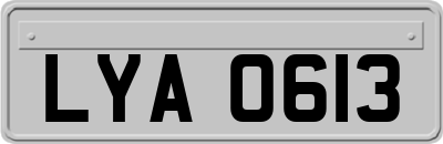 LYA0613