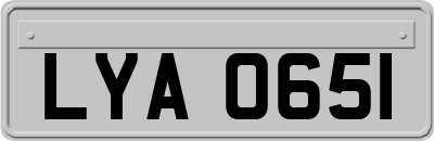 LYA0651