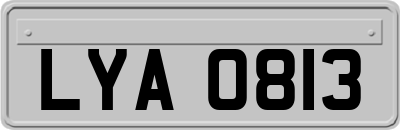 LYA0813