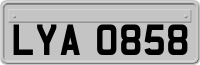 LYA0858