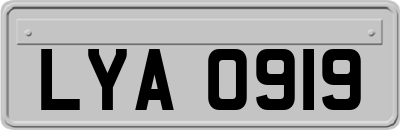 LYA0919