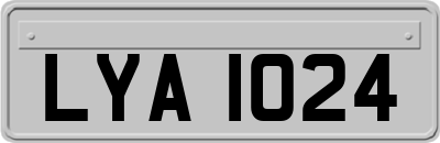 LYA1024
