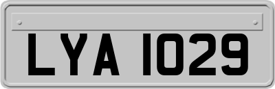 LYA1029