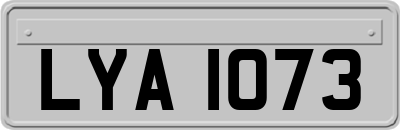 LYA1073