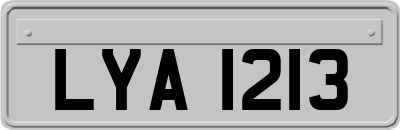 LYA1213