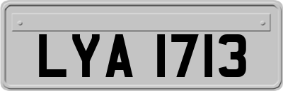 LYA1713