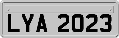 LYA2023