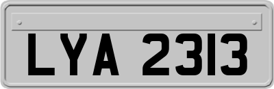 LYA2313