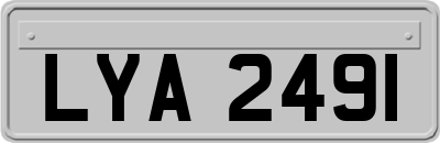 LYA2491