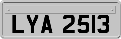 LYA2513