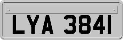 LYA3841