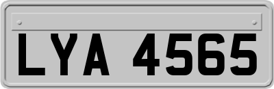 LYA4565