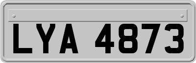 LYA4873