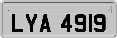 LYA4919