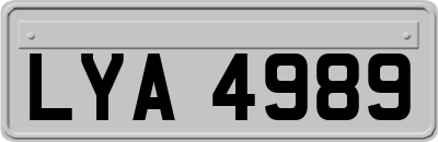 LYA4989