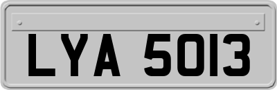 LYA5013