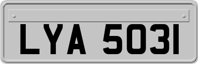 LYA5031