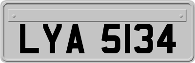 LYA5134
