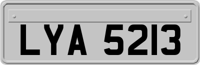LYA5213