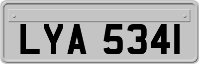 LYA5341