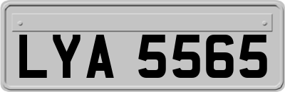 LYA5565