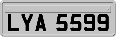 LYA5599