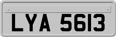 LYA5613