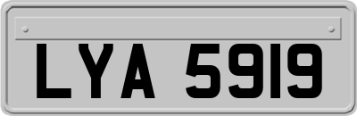 LYA5919