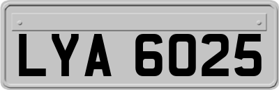 LYA6025