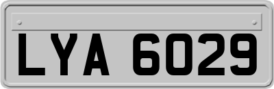 LYA6029