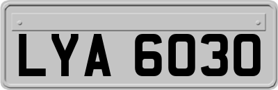 LYA6030