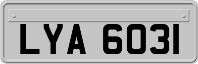 LYA6031