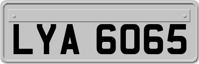 LYA6065