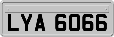 LYA6066