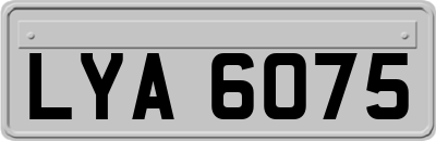 LYA6075