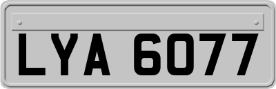 LYA6077