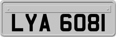 LYA6081