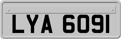 LYA6091