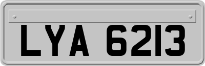LYA6213