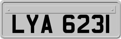 LYA6231